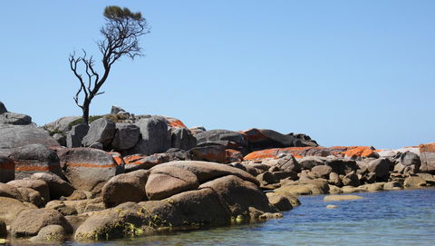 BAY OF FIRES SEACHANGE Ocean Frontage - Accommodation Bookings 21