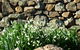 Wagners Cottages - thumb 11