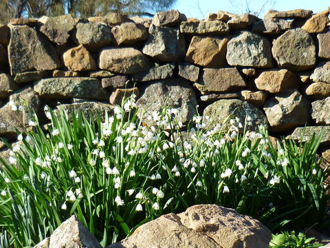 Wagners Cottages - Accommodation Bookings 11