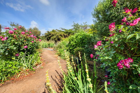 Wagners Cottages - Accommodation Bookings 30