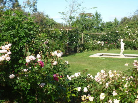 Wagners Cottages - Accommodation Bookings 6