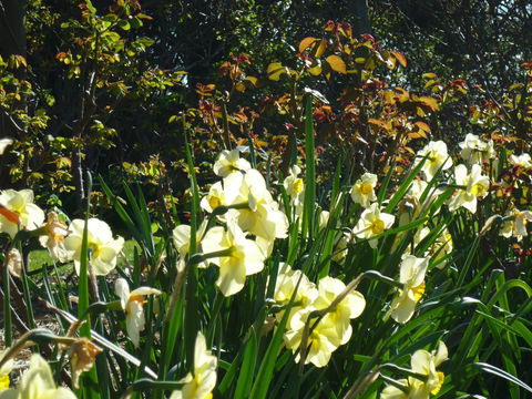 Wagners Cottages - Accommodation Bookings 13