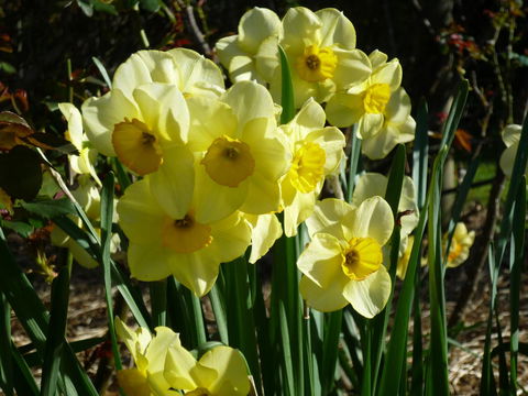 Wagners Cottages - Accommodation Bookings 14