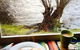 Platypus Playground Riverside Cottage - thumb 8