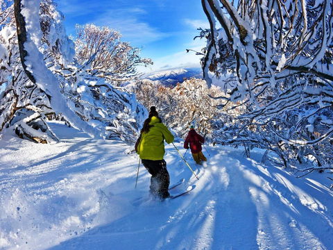 Buller Central Hotel - Accommodation Bookings 13