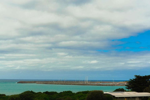 The Apollo - Accommodation Bookings 11