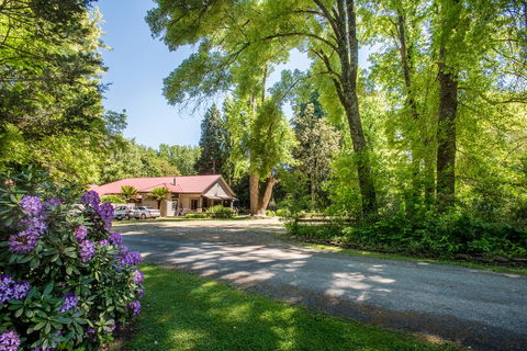 Avalon House - Accommodation Bookings 0