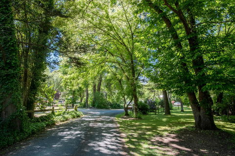 Avalon House - Accommodation Bookings 23