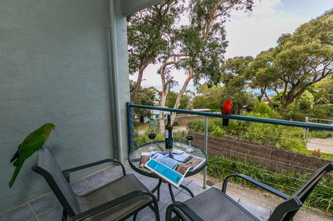 Lorne Surf Apartments - Accommodation Bookings 21