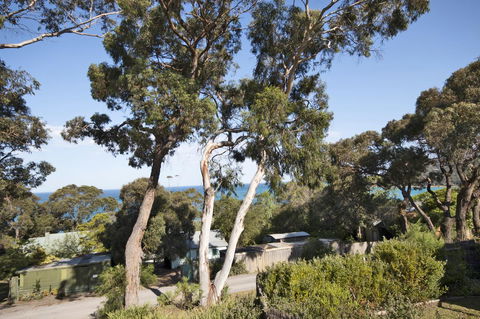 Lorne Surf Apartments - Accommodation Bookings 11