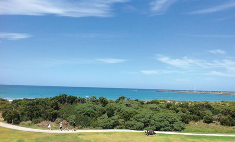 Apollo Bay Waterfront Motor Inn - Accommodation Bookings 26