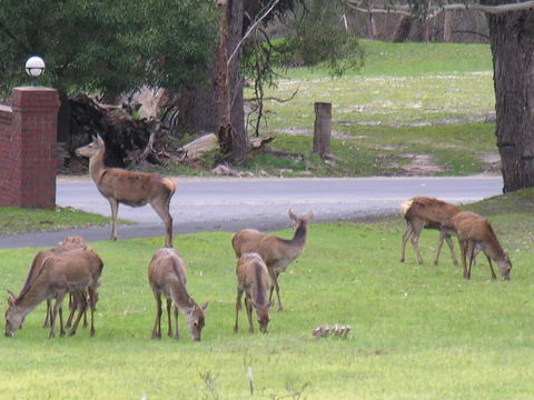 The Grampians Motel - Accommodation Bookings 23
