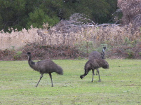 The Grampians Motel - Accommodation Bookings 22
