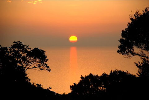 Villa Mallorca - Accommodation Bookings 41