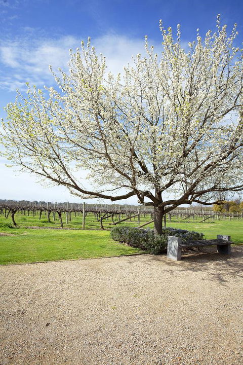 Lancemore Milawa - Accommodation Bookings 12