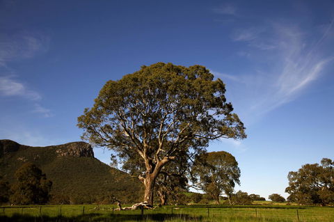 Dunkeld Studio Accommodation - Accommodation Bookings 23