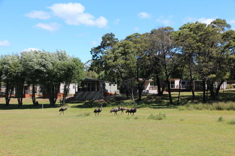 Halls Gap Lakeside Tourist Park - Accommodation Bookings 1