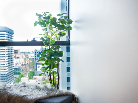LittleStay Eporo - Central Apartments - Accommodation Bookings 14