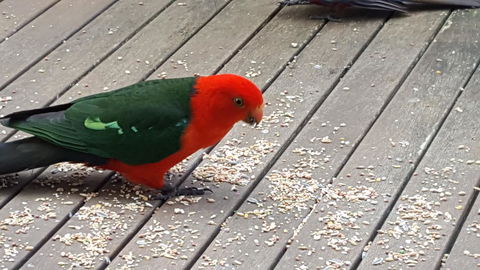 Wilsons Promontory Motel - Accommodation Bookings 27