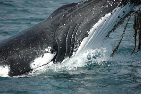 Wilsons Promontory Motel - Accommodation Bookings 42