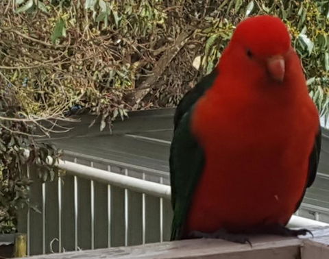 Wilsons Promontory Motel - Accommodation Bookings 23