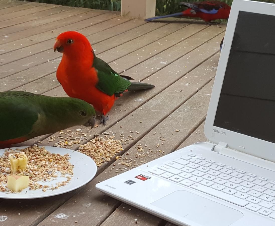  Accommodation Bookings
