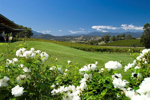 Balgownie Estate Yarra Valley - Accommodation Bookings 36