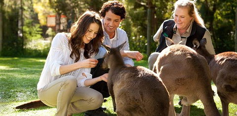 Balgownie Estate Yarra Valley - Accommodation Bookings 10