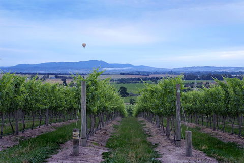 Balgownie Estate Yarra Valley - Accommodation Bookings 37