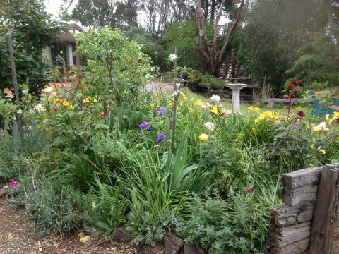 Mud Hollow Barn - Accommodation Bookings 15