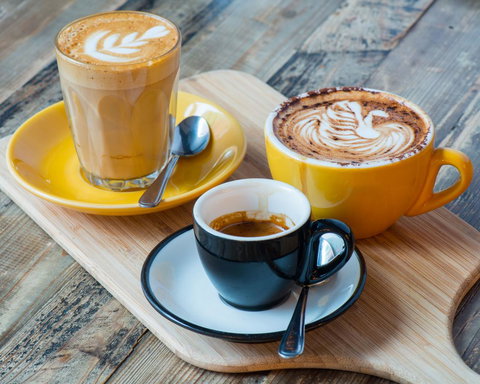 Essence Hotel Carlton - Accommodation Bookings 42