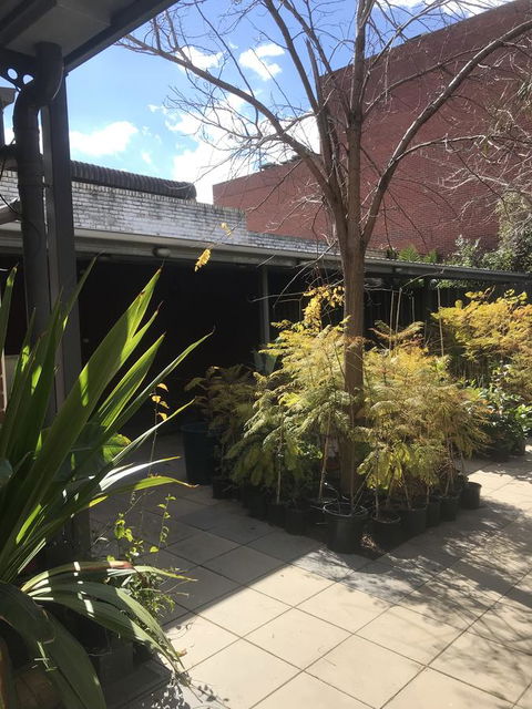 CROWN CENTRAL BUSINESS DISTRICT MOTEL - NO UNDER 18s - Accommodation Bookings 21