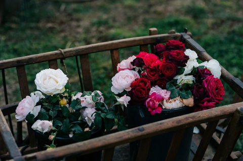Acre Of Roses - Accommodation Bookings 21