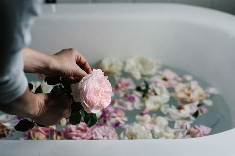 Acre Of Roses - Accommodation Bookings 7