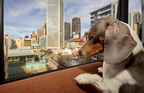 Urban Apartments Melbourne On Elizabeth - Accommodation Bookings 22
