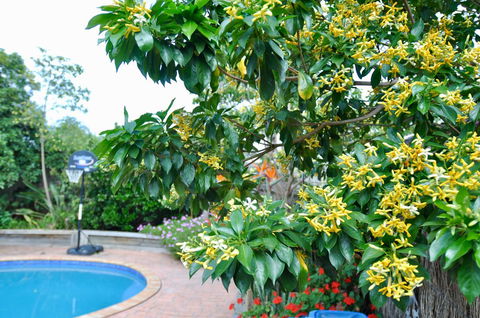 Crimea Retreat - Accommodation Bookings 20