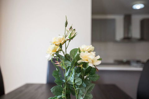Holiday Rose - Accommodation Bookings 8