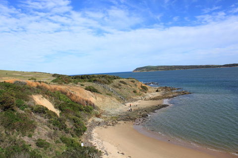 Pelicans Motel San Remo - Accommodation Bookings 19