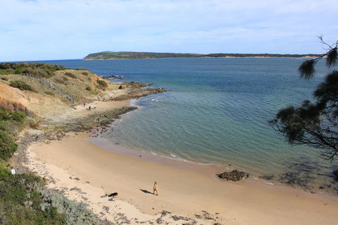 Pelicans Motel San Remo - Accommodation Bookings 20
