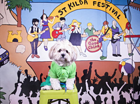 Habitat HQ - Accommodation Bookings 13