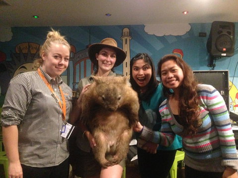 Habitat HQ - Accommodation Bookings 19