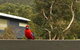 Kangurra Holiday House - thumb 15