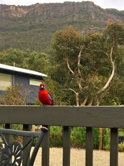 Kangurra Holiday House - Accommodation Bookings 15