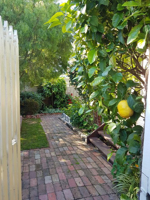Healesville House - Fig Tree House - Accommodation Bookings 17