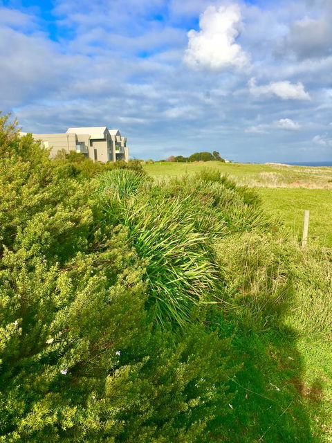 Arcadia Phillip Island - Accommodation Bookings 21