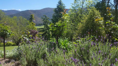 Abbys Cottages Bright - Accommodation Bookings 33