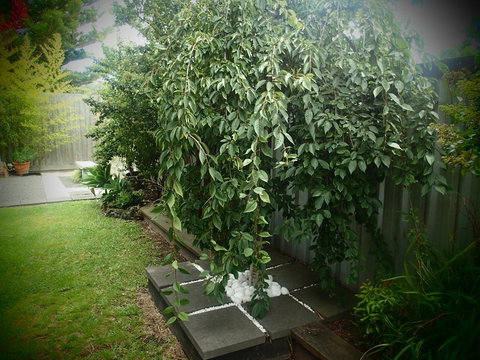 Azen Haven - Accommodation Bookings 12