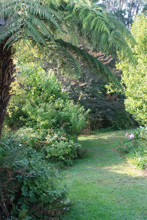 Strathmore Farm B&B - Accommodation Bookings 21
