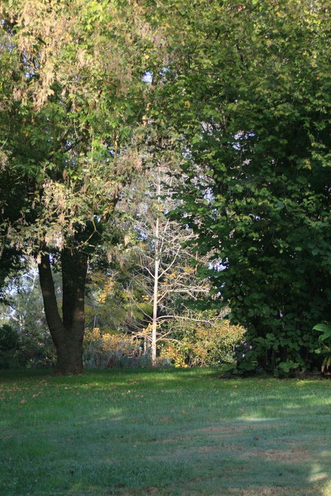 Strathmore Farm B&B - Accommodation Bookings 26