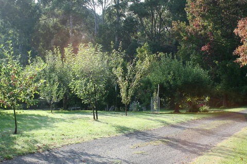 Strathmore Farm B&B - Accommodation Bookings 33
